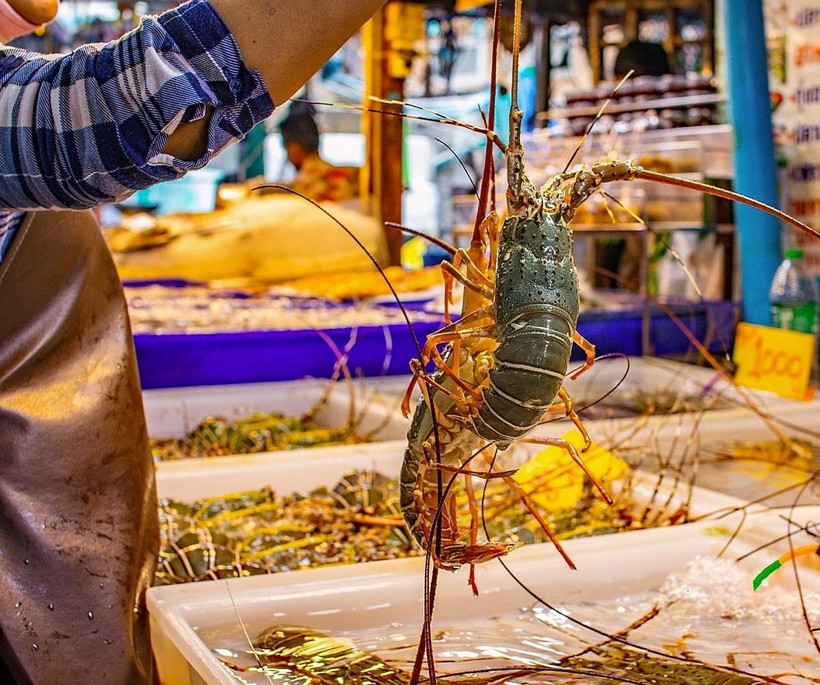 Bancada da fazenda repleta de Produtos orgânicos frescos colhidos